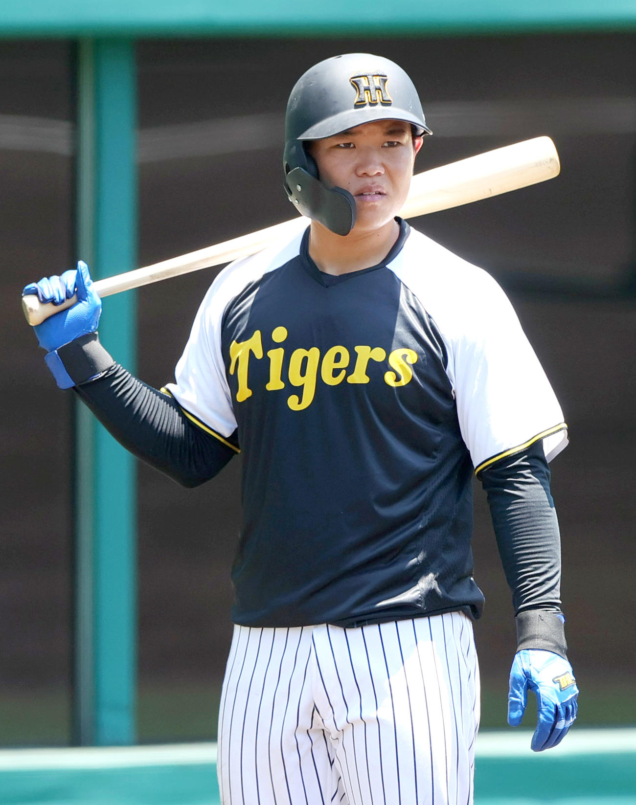 阪神嶋村麟士朗（2025年6月28日撮影）