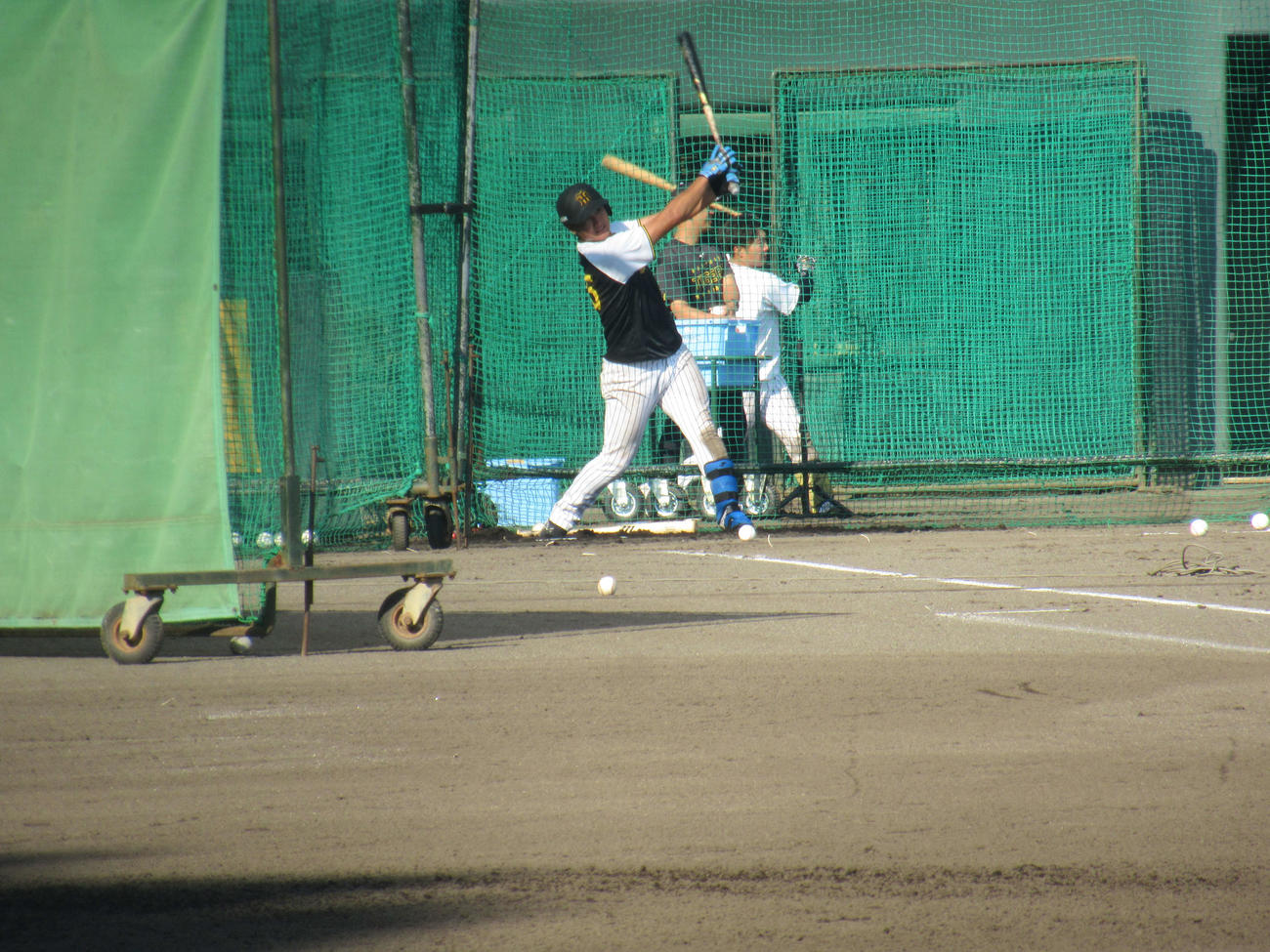 秋季キャンプ初日のフリー打撃で柵越えを披露した阪神西純