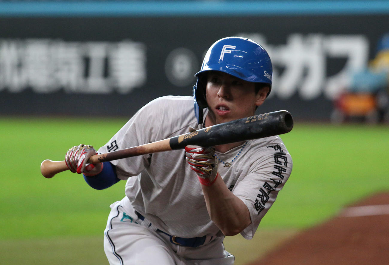 エスコンフィールドで秋季キャンプに参加した日本ハム五十幡（撮影・木下大輔）