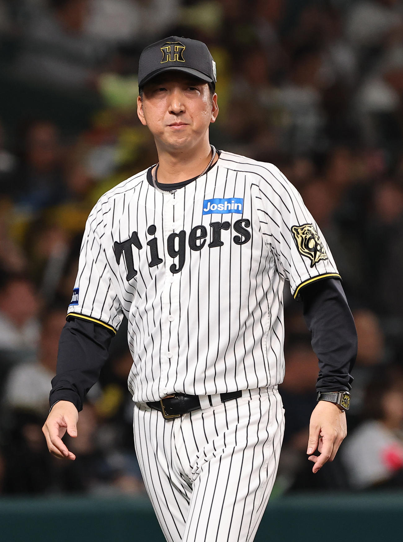 阪神藤川球児監督（2025年10月30日撮影）