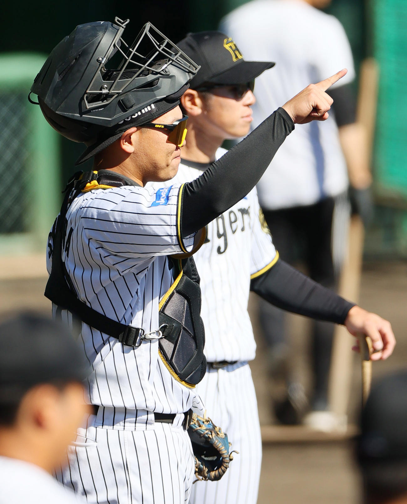 投内連係プレーで指示をだす阪神嶋村（撮影・上山淳一）