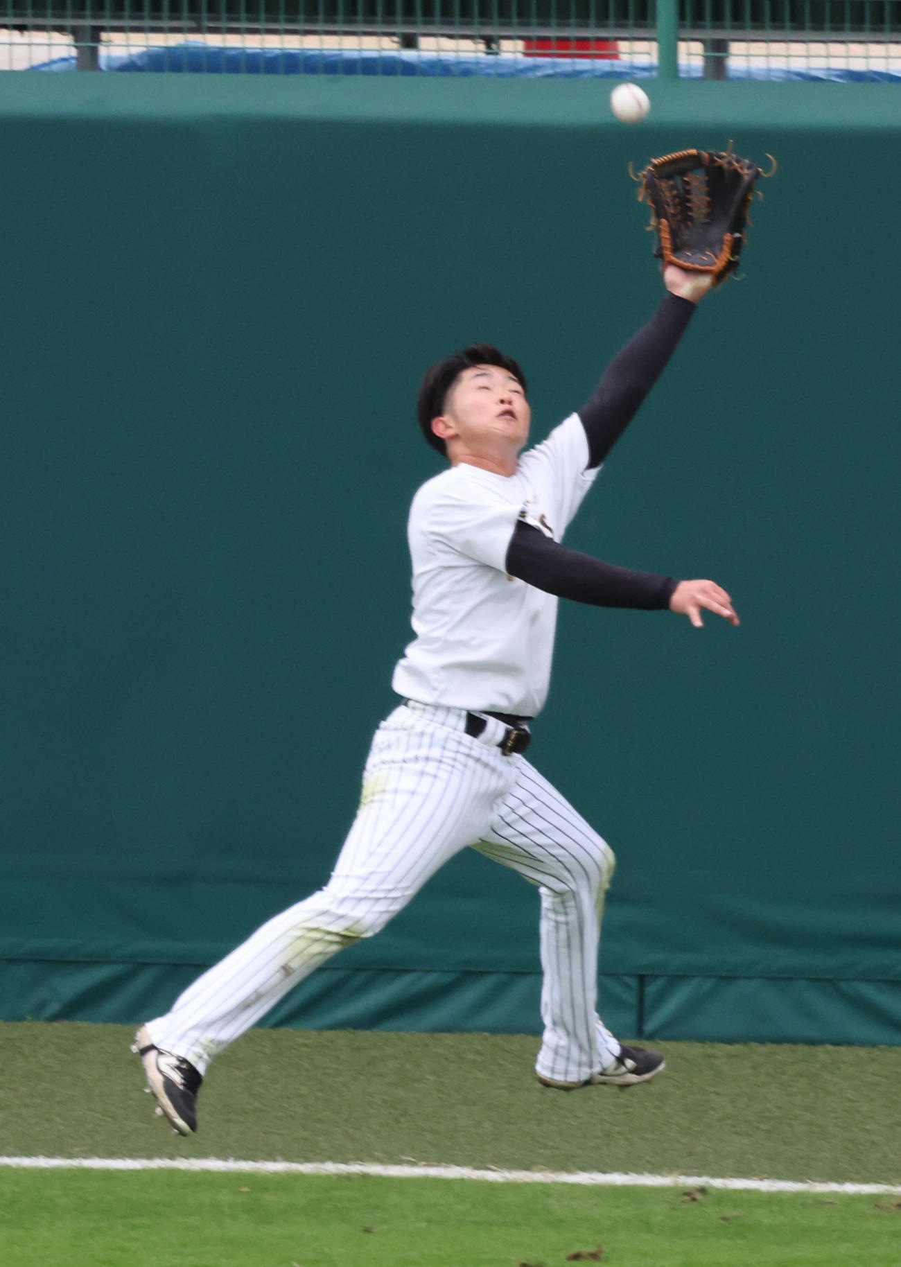 居残りの外野特守で打球を追う阪神中川（撮影・西尾就之）
