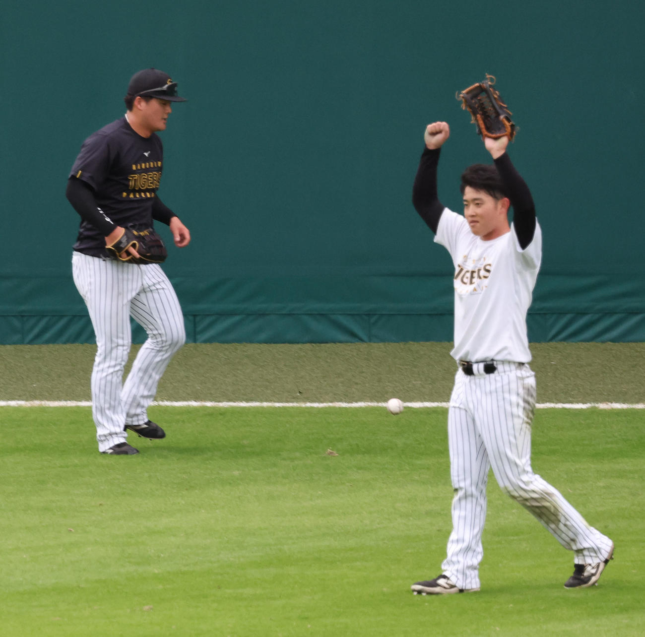居残りの外野特守で、阪神中川（右）は「捕れば終わり」の打球を前川が捕ったと思ってバンザイ（撮影・西尾就之）