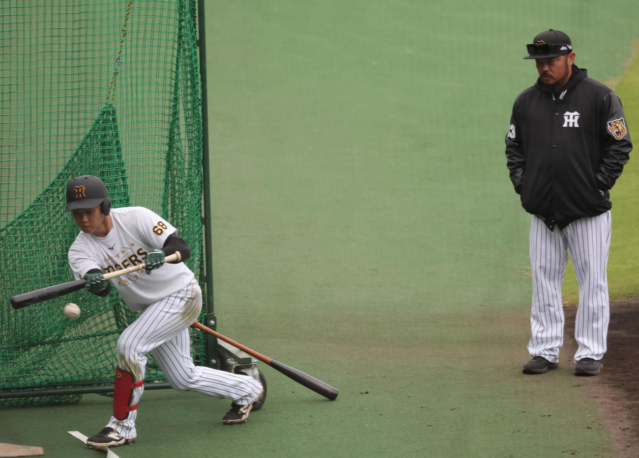 小谷野コーチ（右）が見守る前でバント練習を行う阪神中川（撮影・西尾就之）