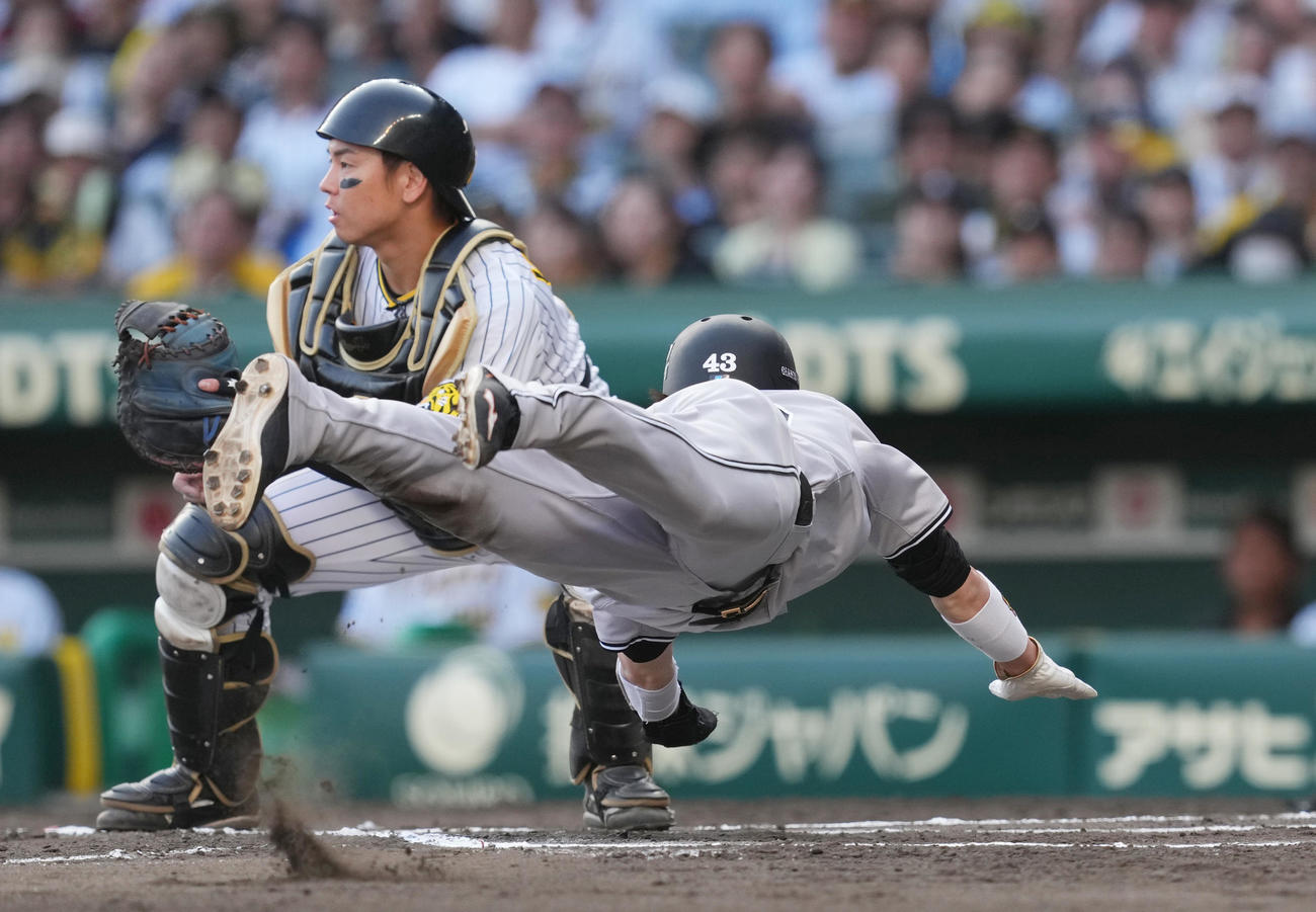 阪神対巨人　10回表巨人1死一、三塁、丸の勝ち越しの犠飛で本塁に生還する三塁走者重信。後方は捕手梅野（2024年5月26日）