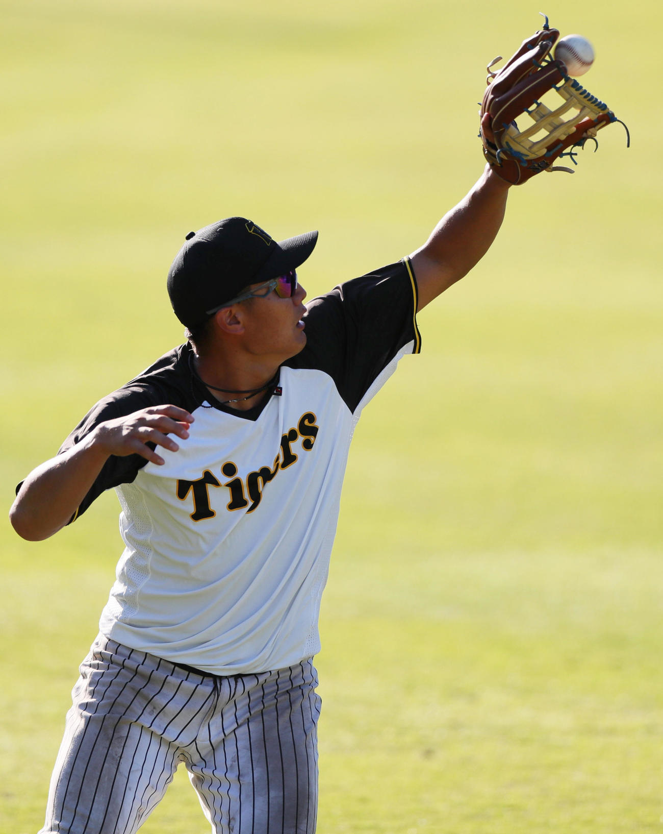 個別ノックを受ける阪神西純（撮影・上山淳一）
