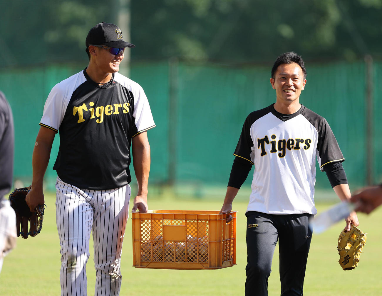 外野ノックを終えた西純（左）は笑顔でボールを運ぶ（撮影・上田博志）