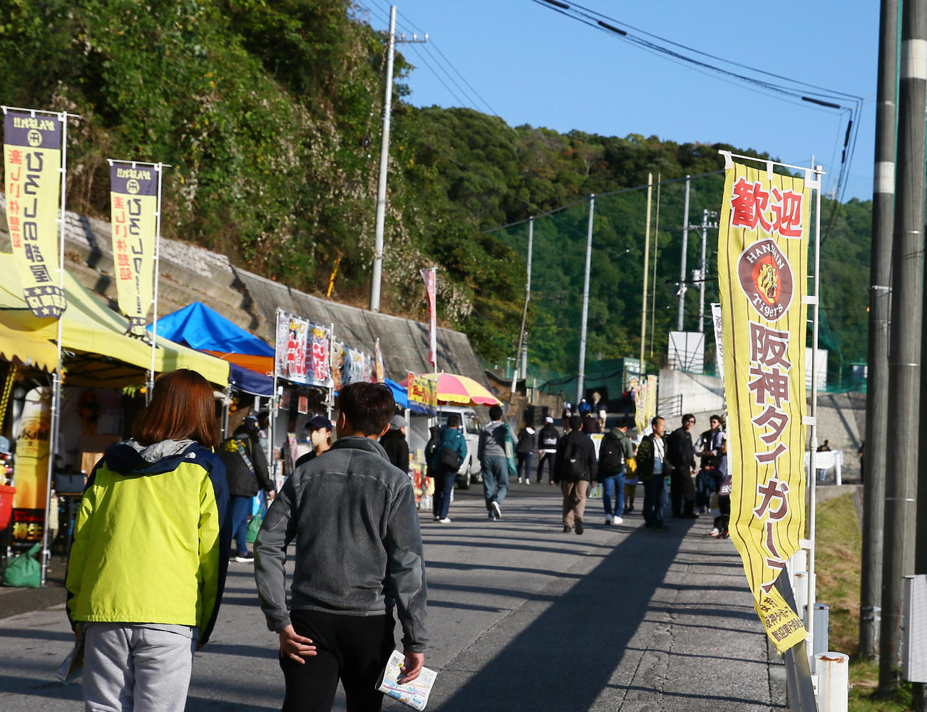 朝から多くのファンが訪れる安芸の阪神秋季キャンプ（撮影・上山淳一）