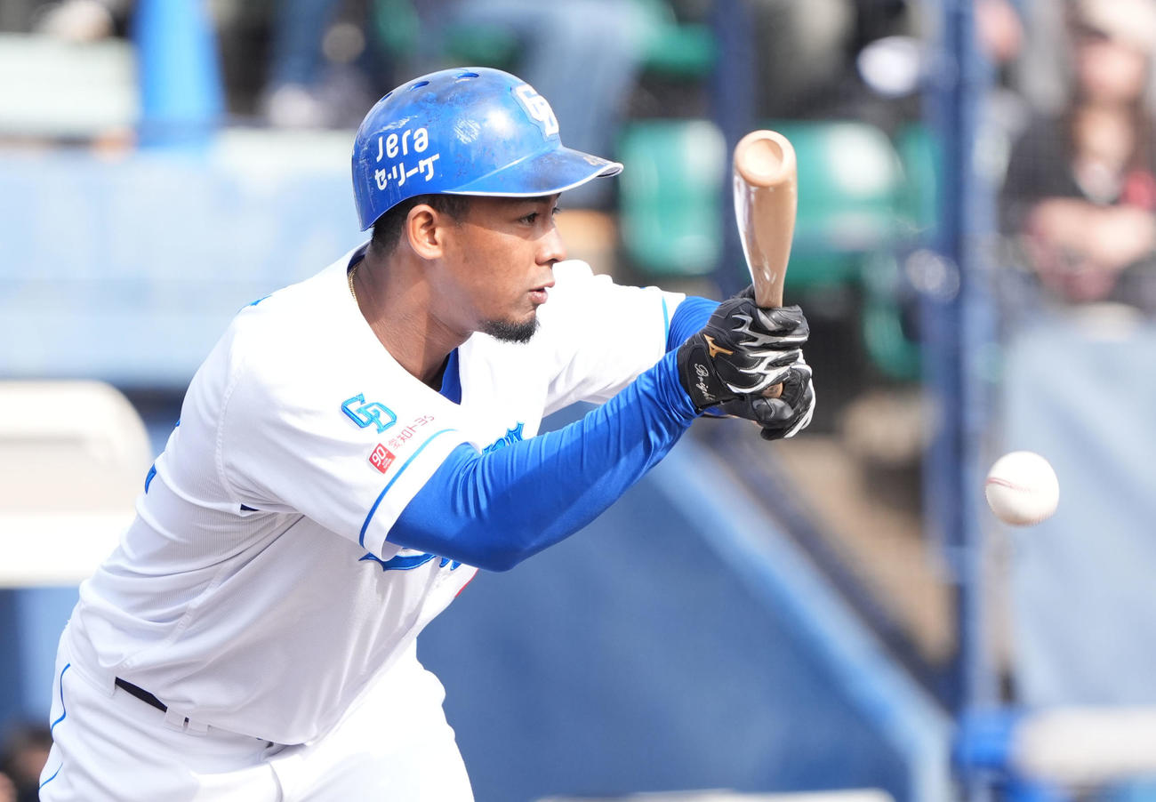 バントのみの実戦練習でバントするブライト健太（撮影・森本幸一）