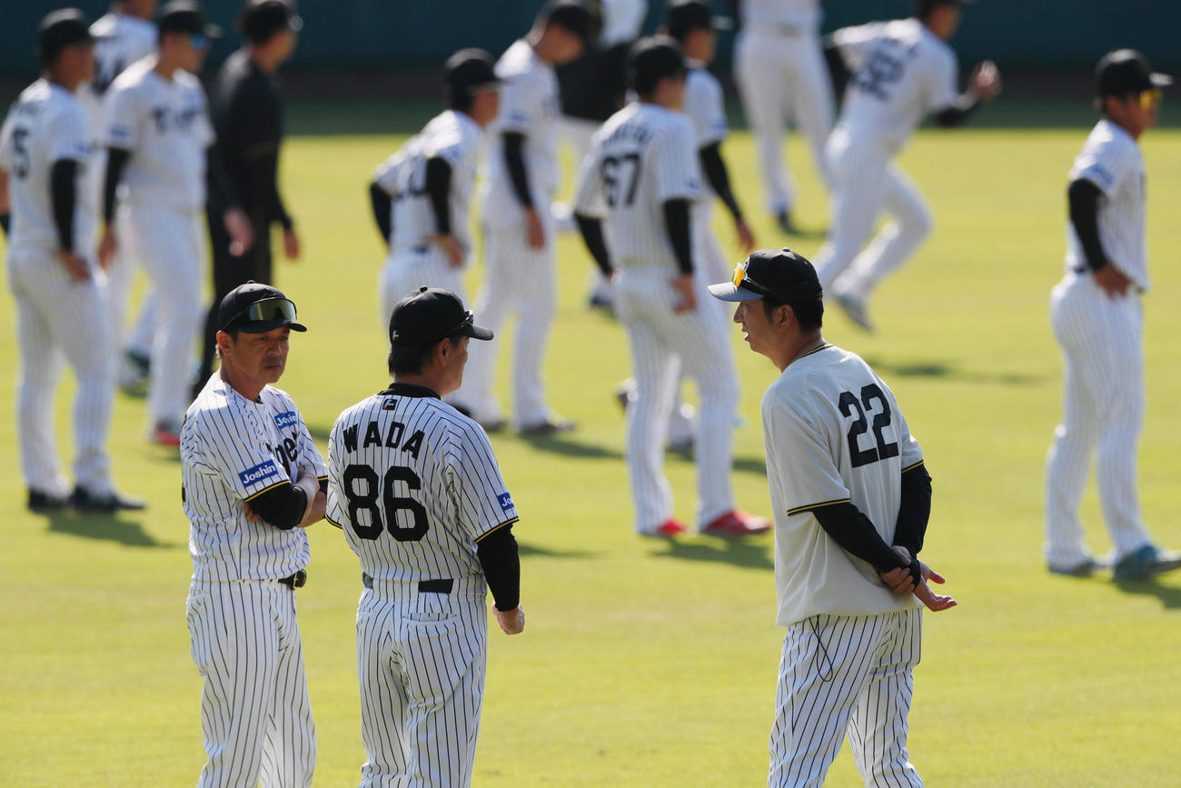 安芸の秋季キャンプ入りした阪神藤本総合コーチ（左）と和田ヘッドコーチ（中央）に話す藤川監督（撮影・上山淳一）