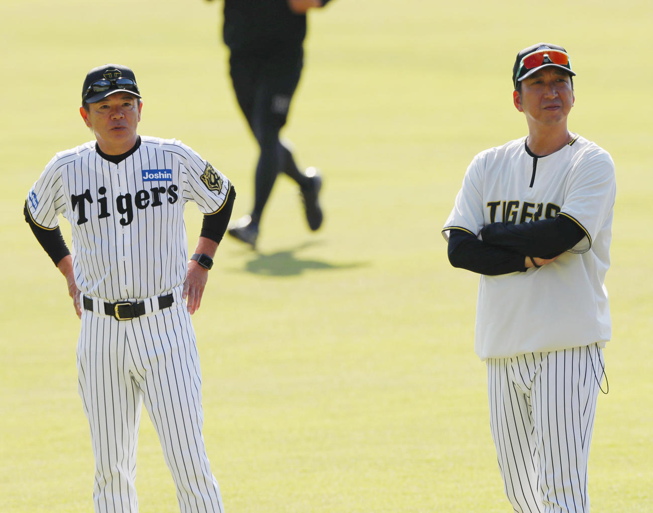 グラウンドを見つめる阪神和田ヘッドコーチ（左）と藤川監督（撮影・上山淳一）