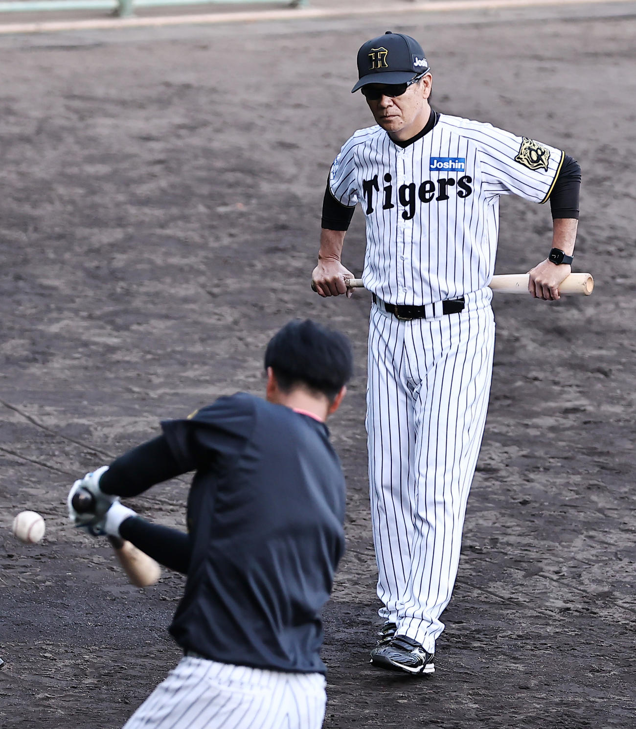 打撃練習を見る阪神和田ヘッドコーチ（撮影・上山淳一）