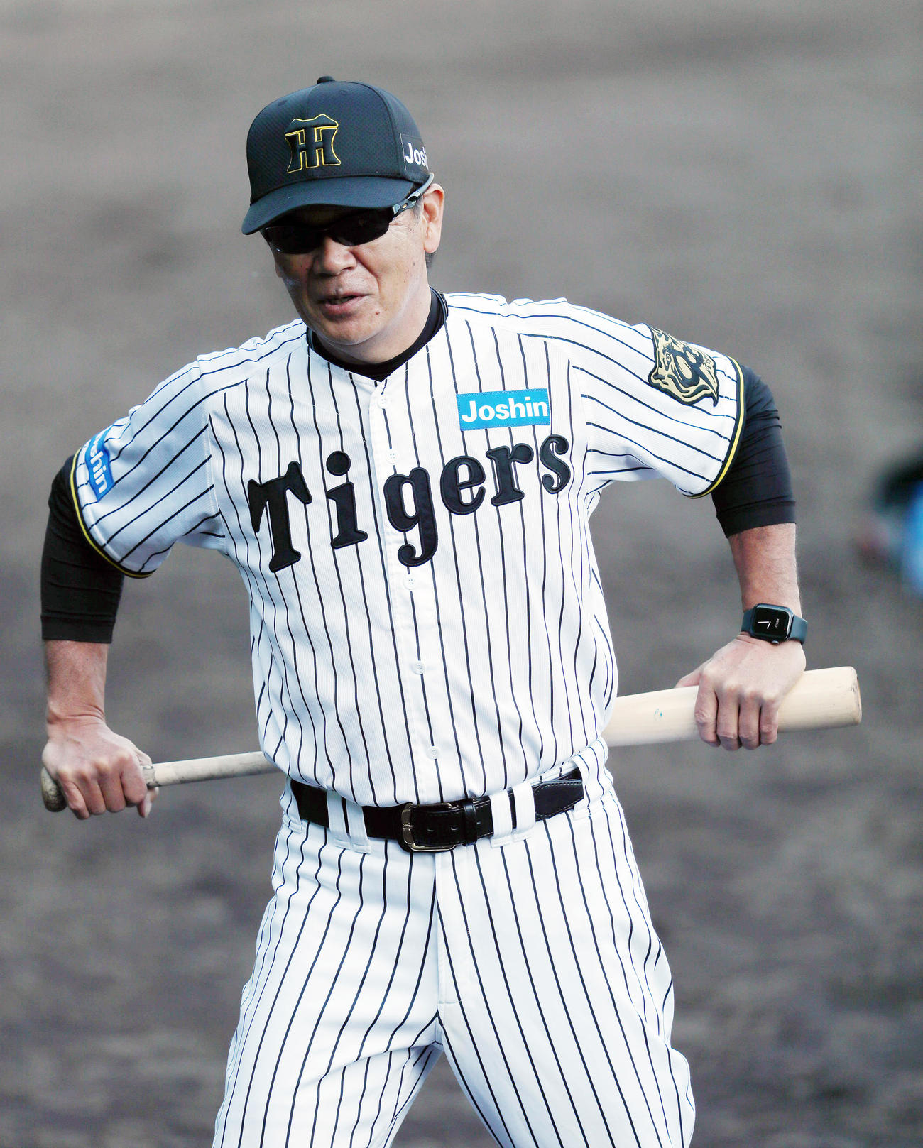 打撃練習見る阪神和田ヘッドコーチ（撮影・上山淳一）