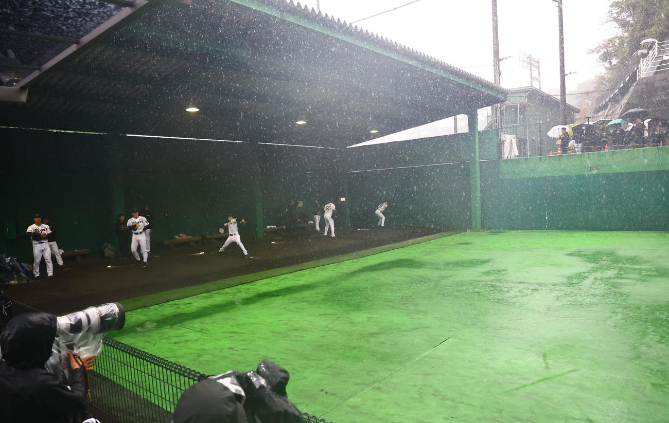 大雨が降るブルペンで投球練習をする阪神投手陣（撮影・上田博志）