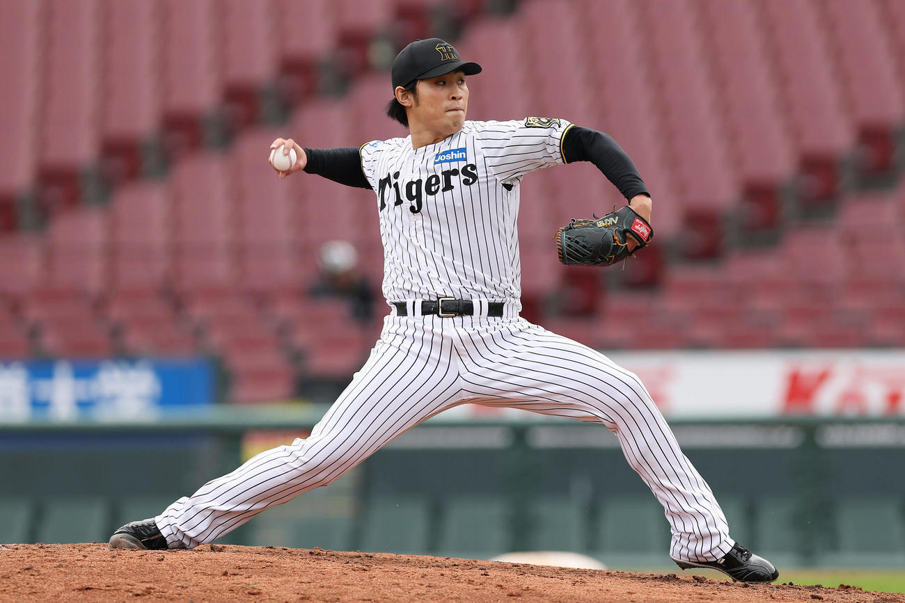 トライアウトで力投する阪神佐藤蓮（撮影・前田充）