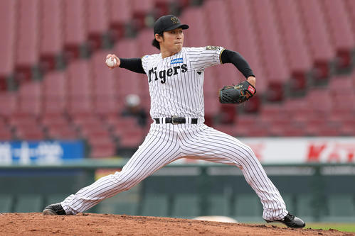 トライアウトで力投する阪神佐藤蓮(撮影・前田充)