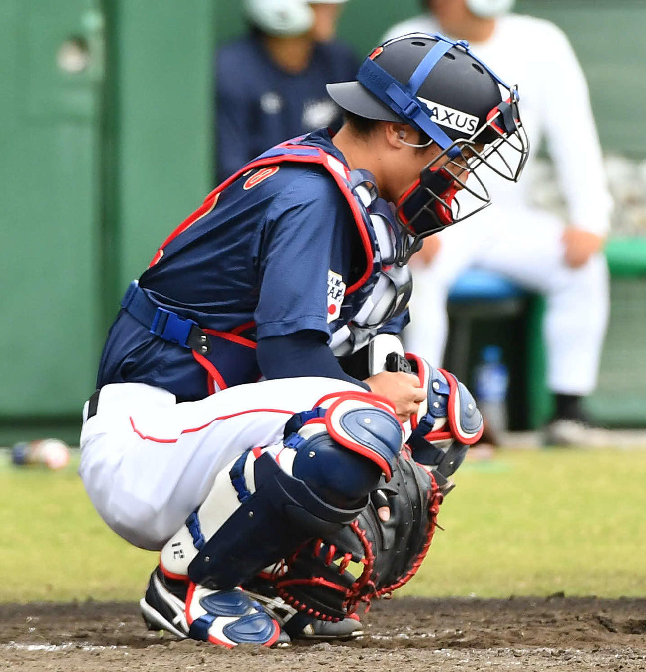 日本対広島　1回裏、ピッチコムでサインを出す坂本（撮影・岩下翔太）