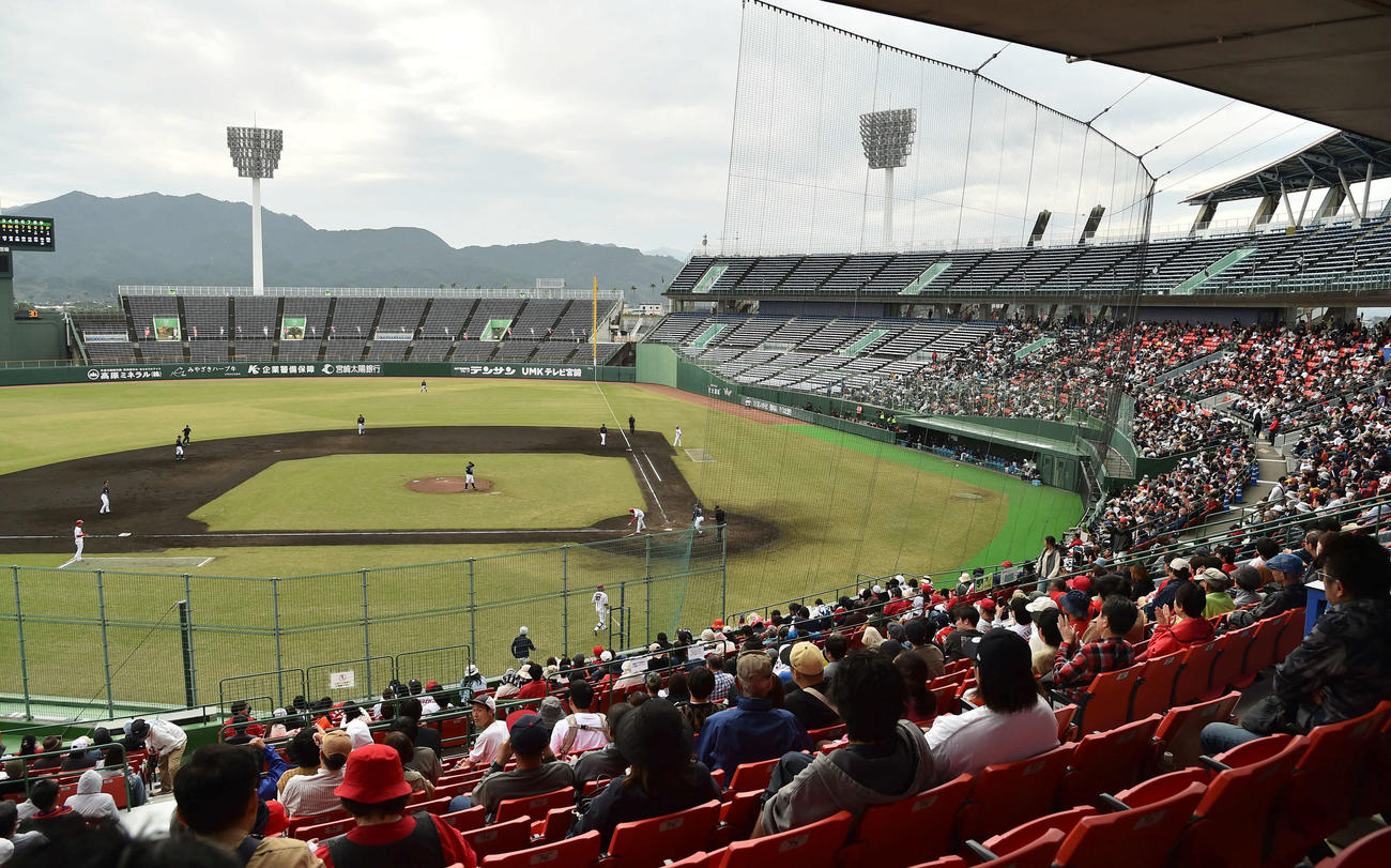 日本対広島　侍ジャパンの試合を観戦するファン（撮影・岩下翔太）
