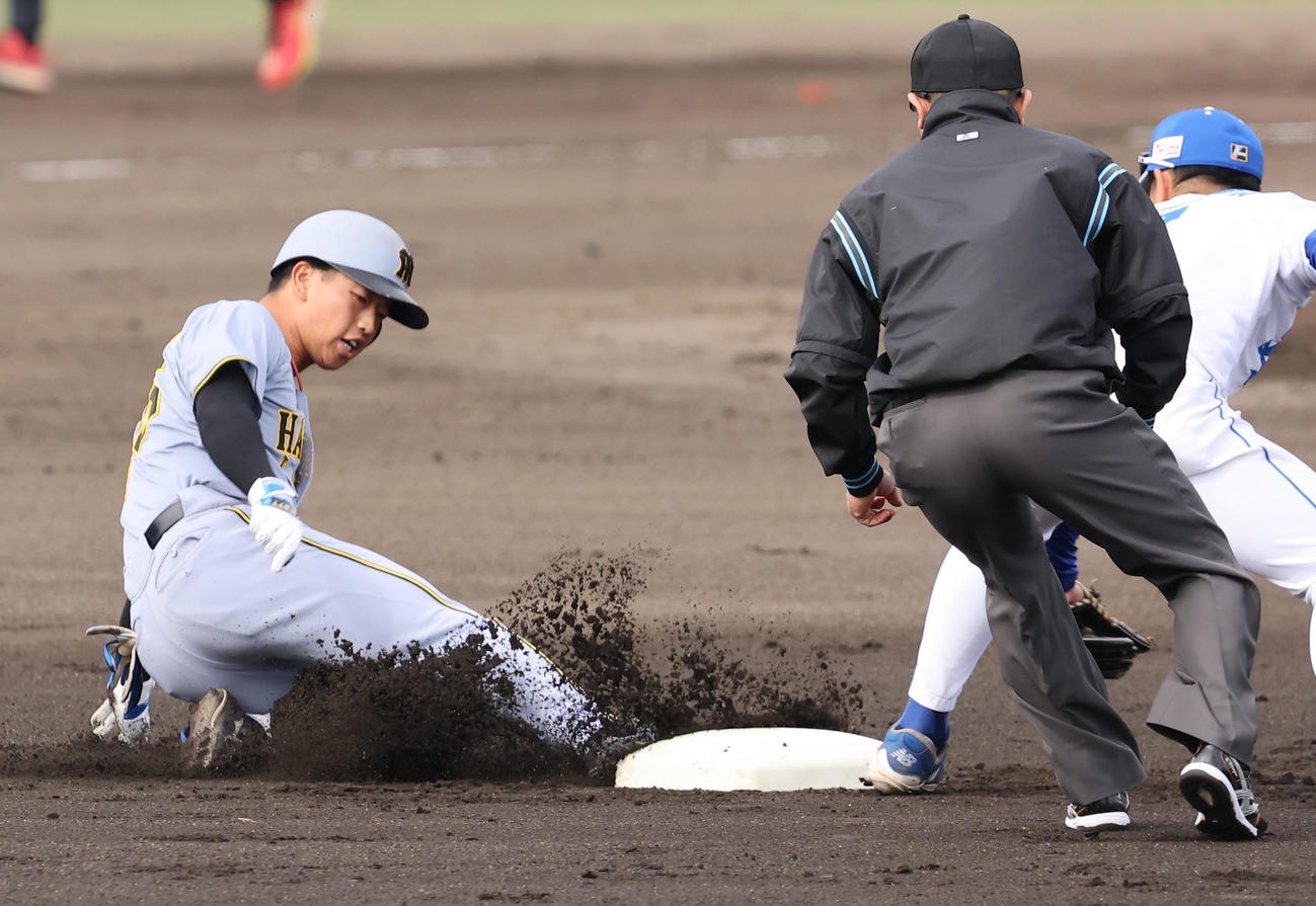 中日対阪神　2回表阪神1死一塁、百崎は二塁打を放つ（撮影・上田博志）
