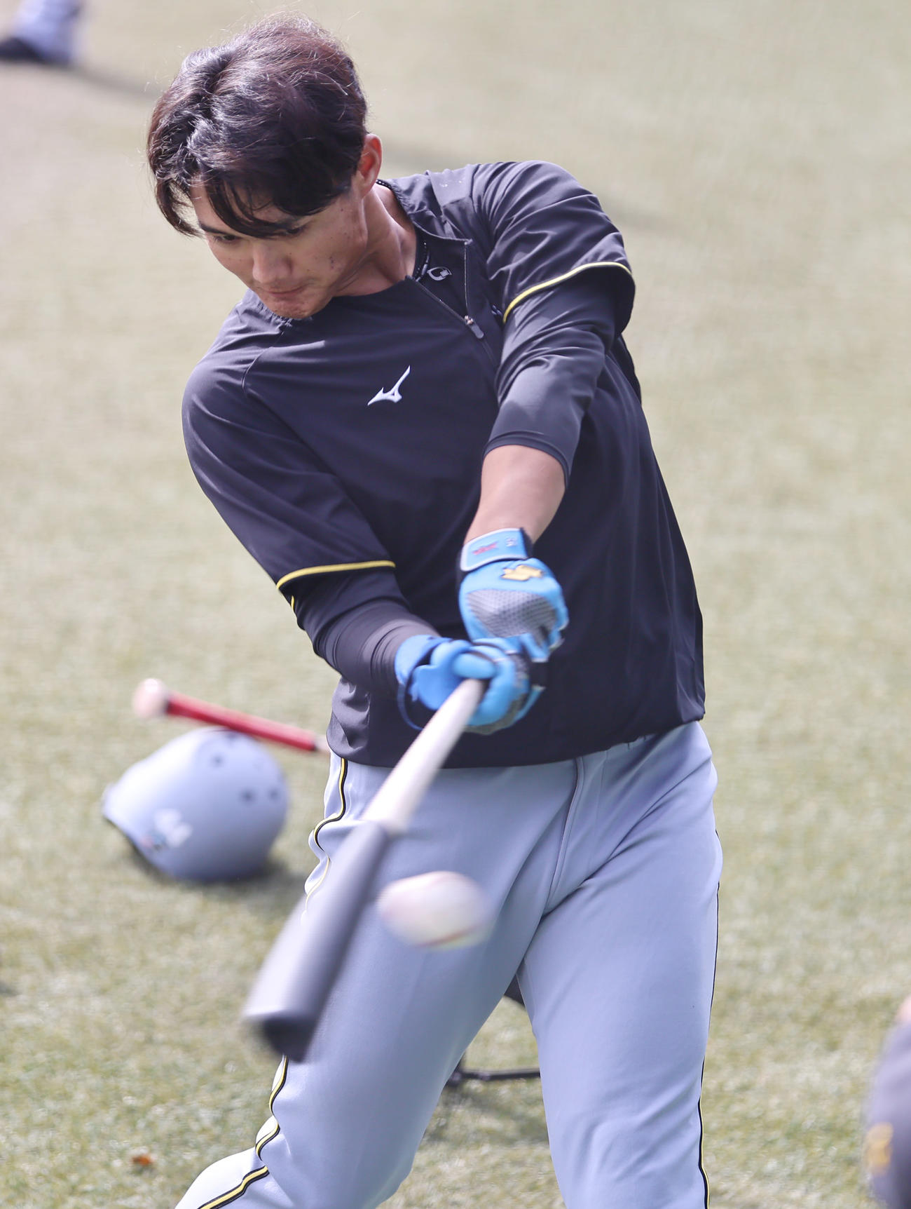 練習試合・中日対阪神　試合前、トス打撃を行う阪神西純（撮影・上山淳一）
