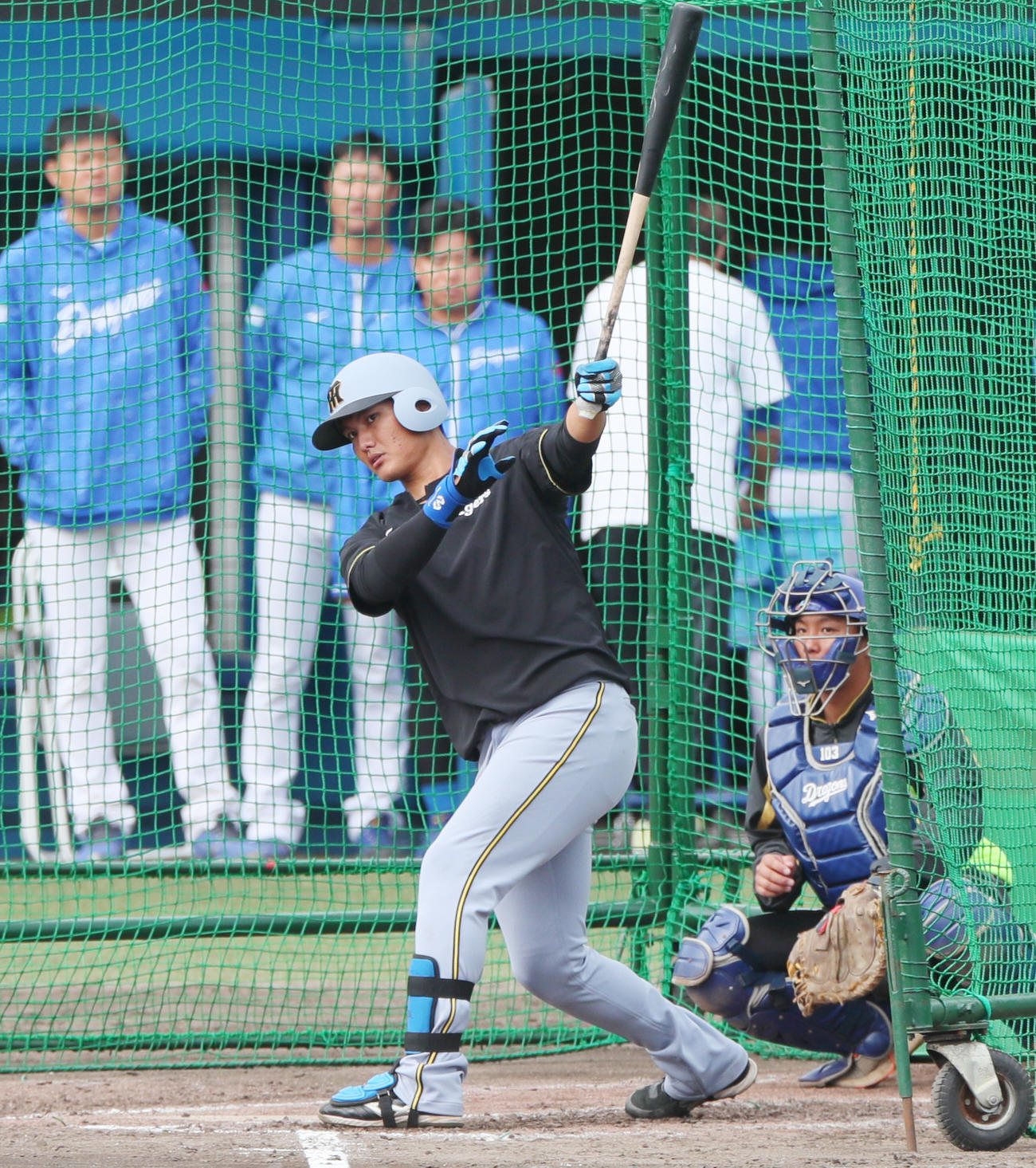 練習試合・中日対阪神　試合前、フリー打撃する阪神西純（撮影・上山淳一）