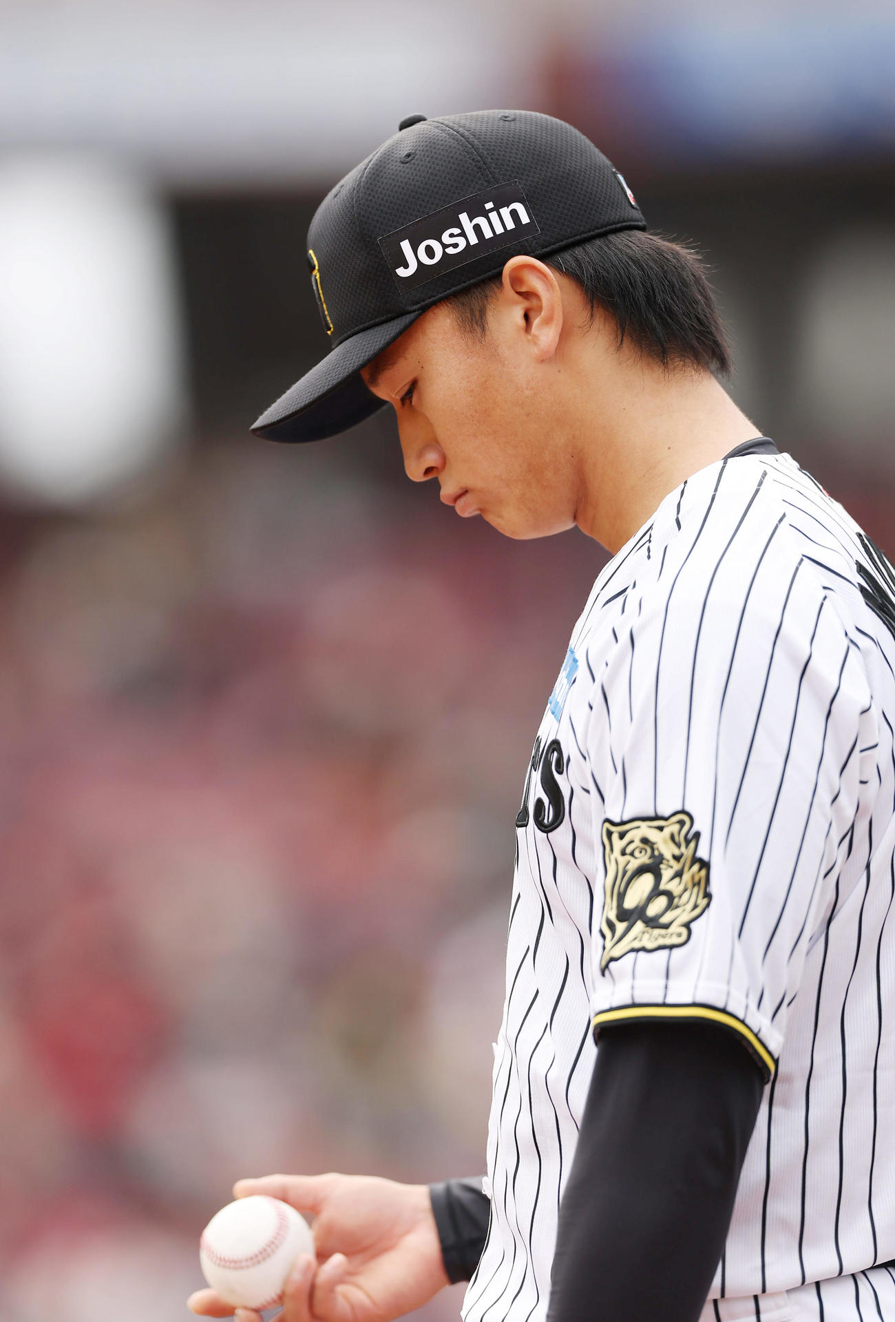 トライアウトの投球に備える阪神育成・森木（撮影・前田充）