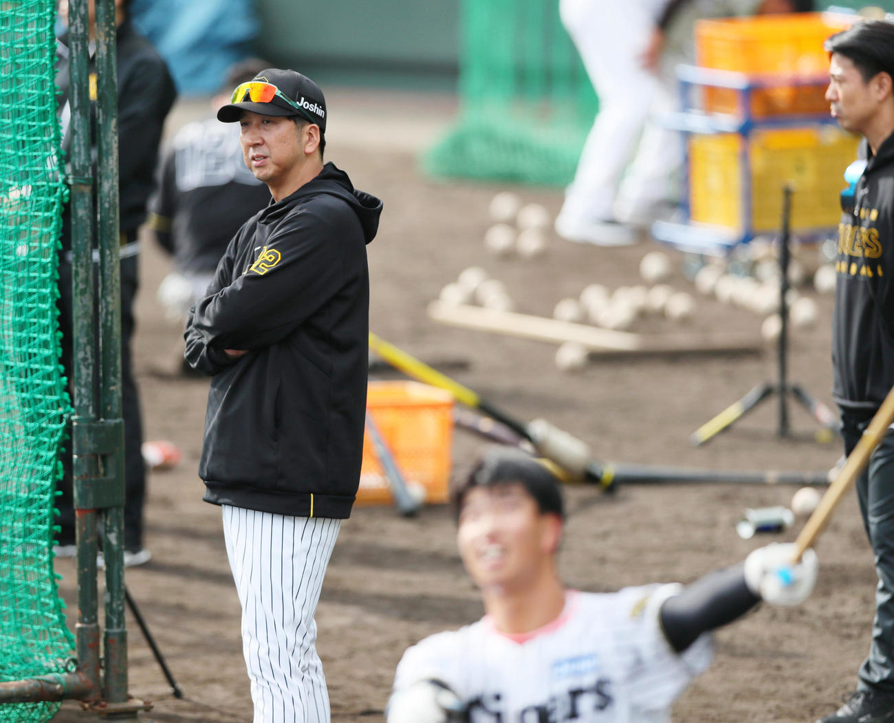 打撃練習を見る阪神藤川監督（撮影・上山淳一）