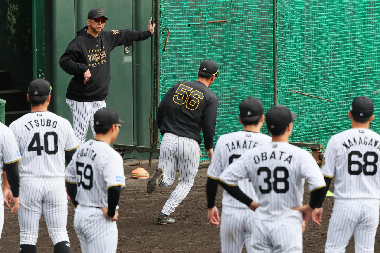 スパイク走をする選手らを見る阪神藤川監督（上）（撮影・上山淳一）