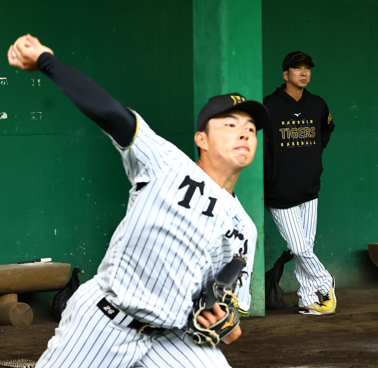 椎葉の投球を見る藤川監督（撮影・上田博志）