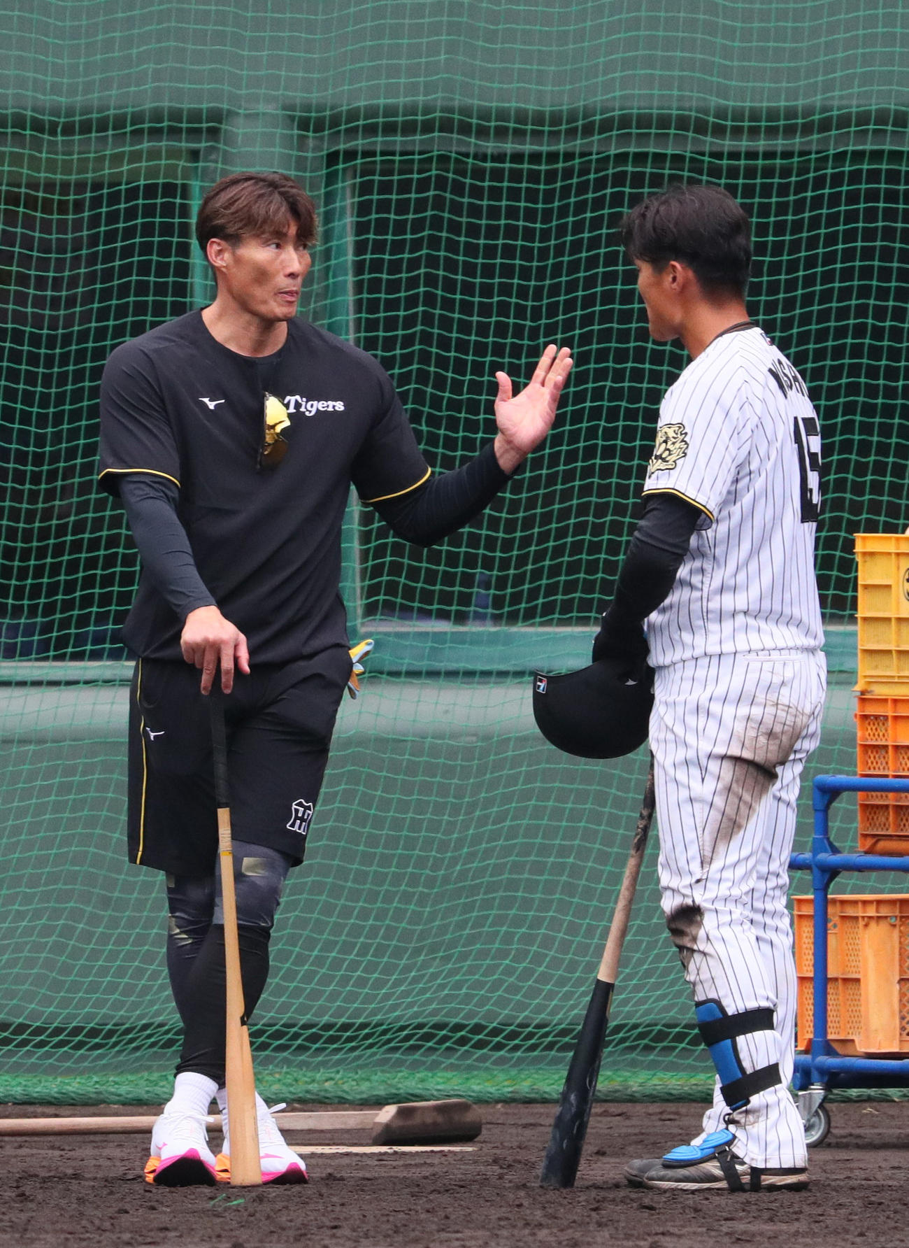 ランチ特打する阪神西純（右）を指導する糸井SA（撮影・上山淳一）