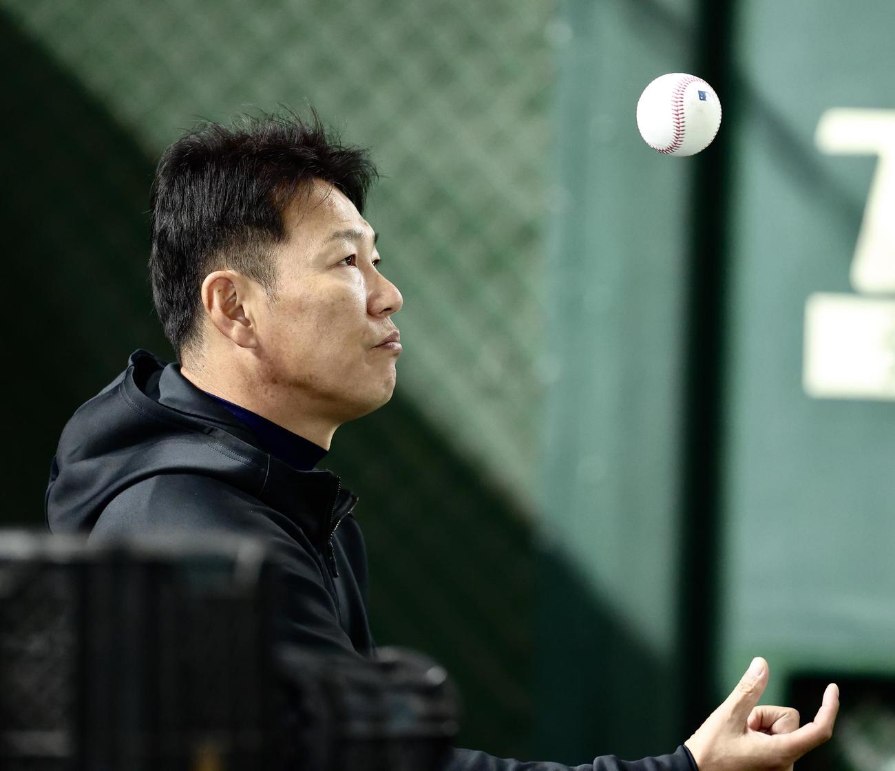 球を見つめる侍ジャパン井端監督（撮影・河田真司）