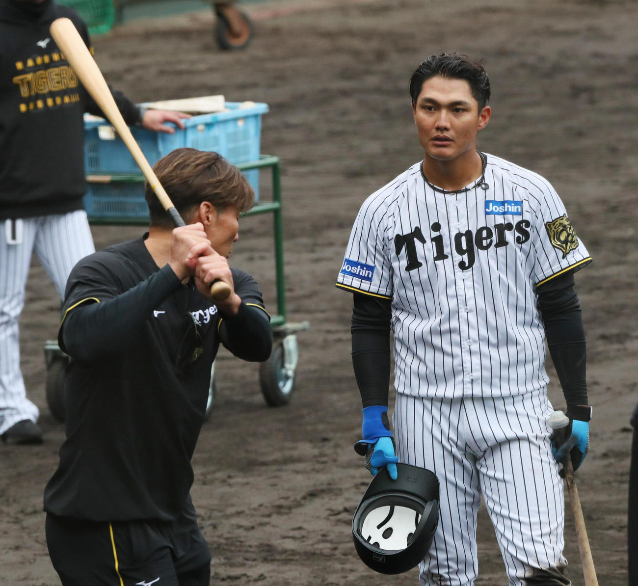 ランチ特打する阪神西純（右）を指導する糸井SA（撮影・上山淳一）