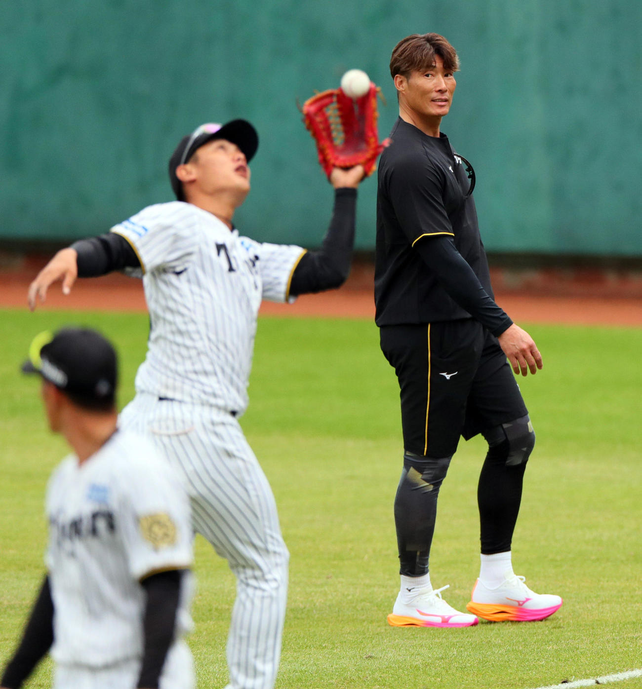 外野守備練習する阪神西純を見つめる糸井SA（撮影・上山淳一）