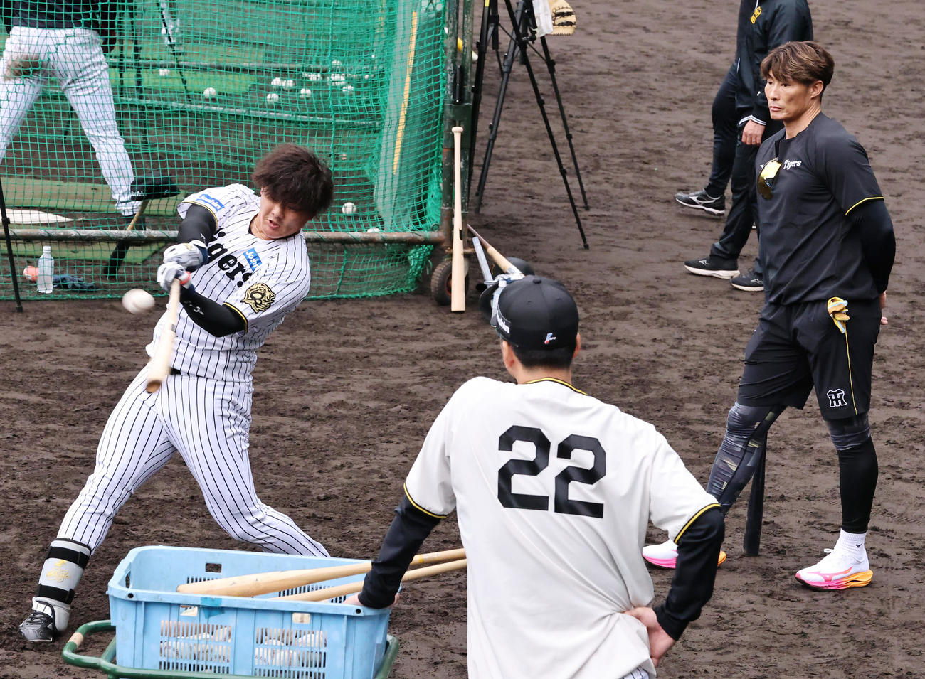 ロングティー打撃を行う阪神前川（左）を見守る藤川監督（手前）と糸井SA（撮影・上山淳一）