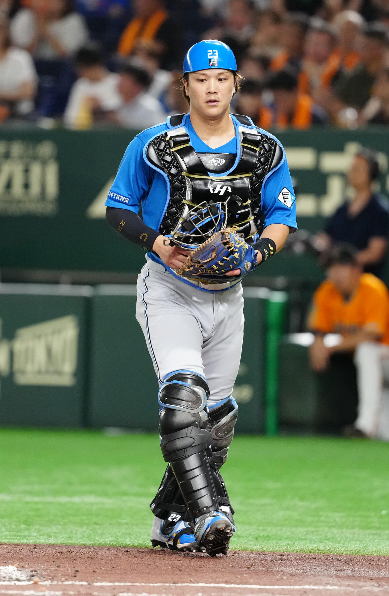 阪神へのトレードが決まった日本ハム伏見（25年6月18日撮影）