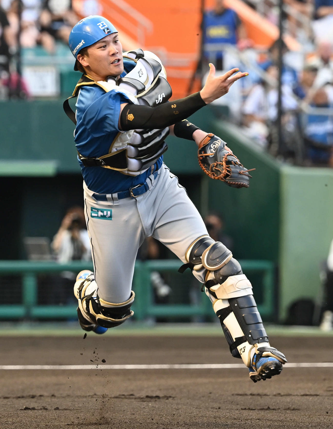 23年6月27日　西武戦でバント処理をする日本ハム伏見