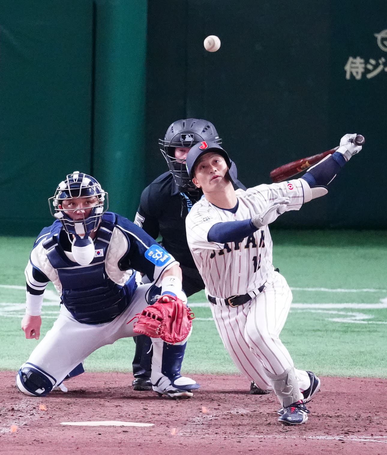 日本対韓国　5回裏日本無死満塁、適時内野安打とする坂本（撮影・江口和貴）