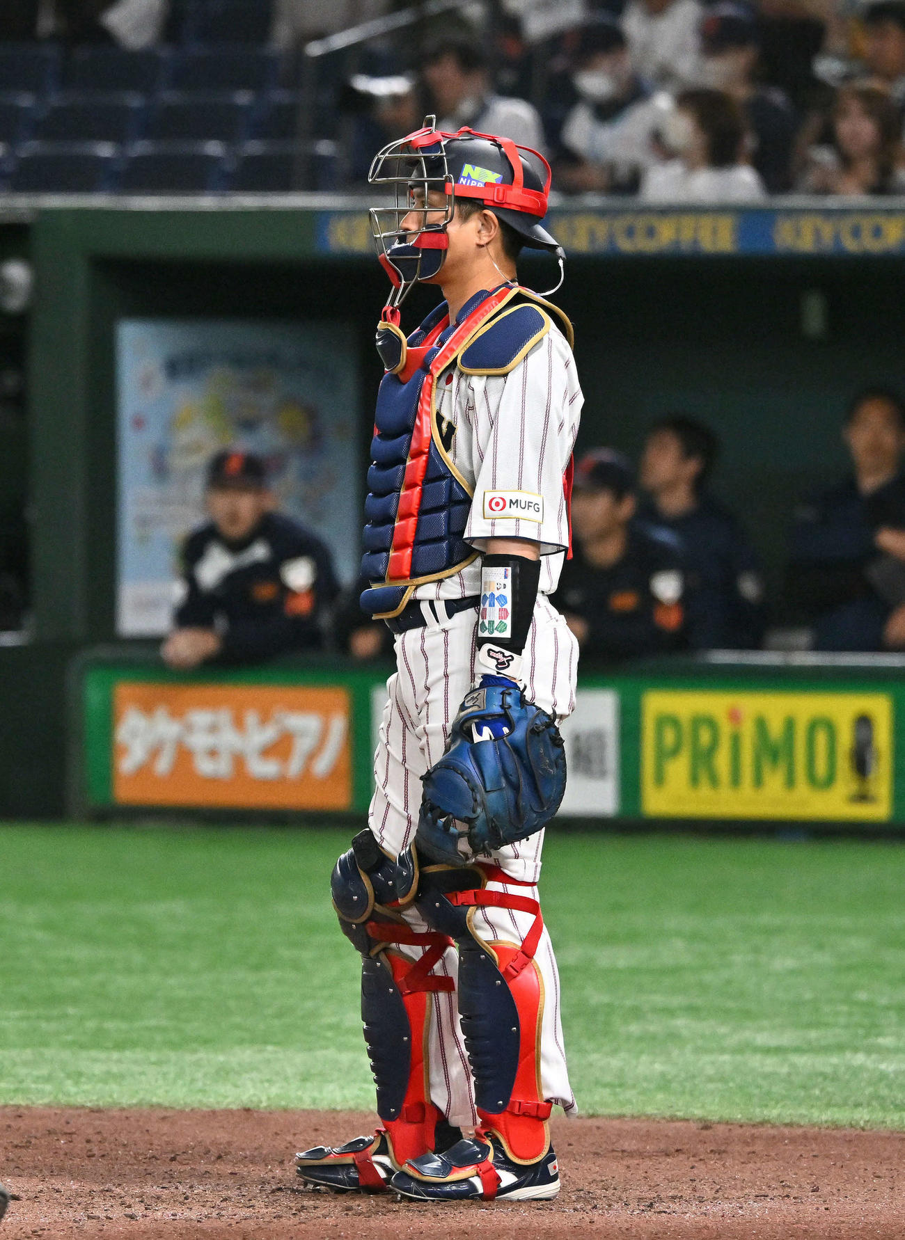 日本対韓国　6回表から途中出場した若月（撮影・滝沢徹郎）