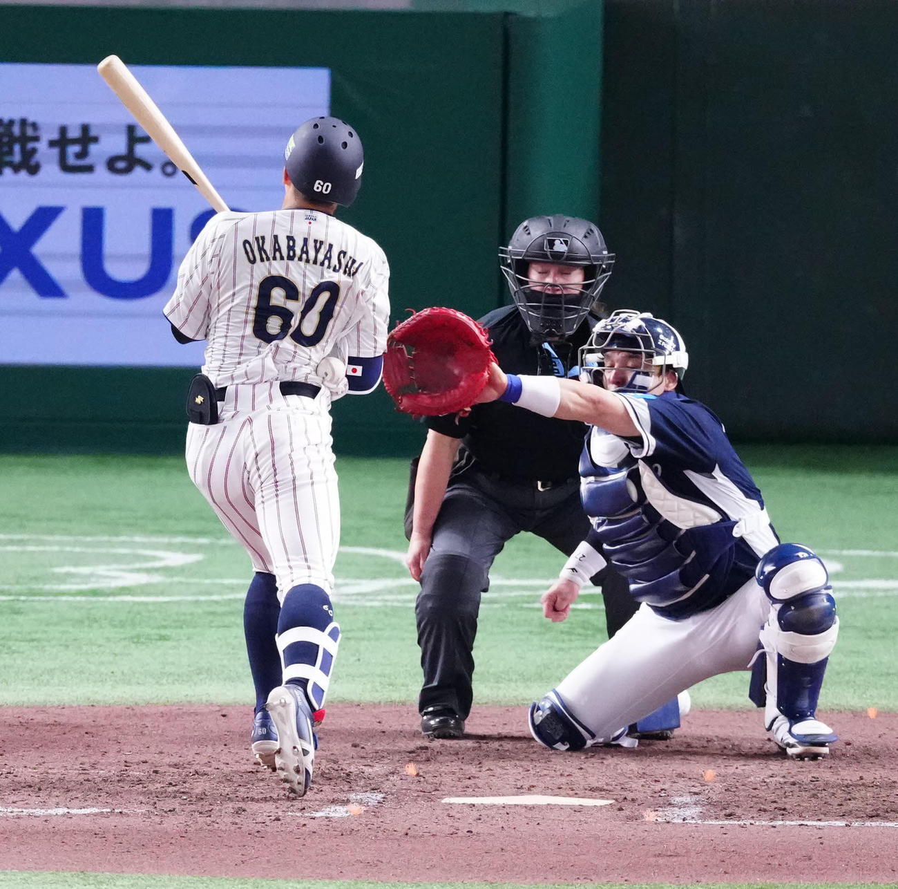 日本対韓国　7回裏日本1死、死球を受ける岡林（撮影・江口和貴）