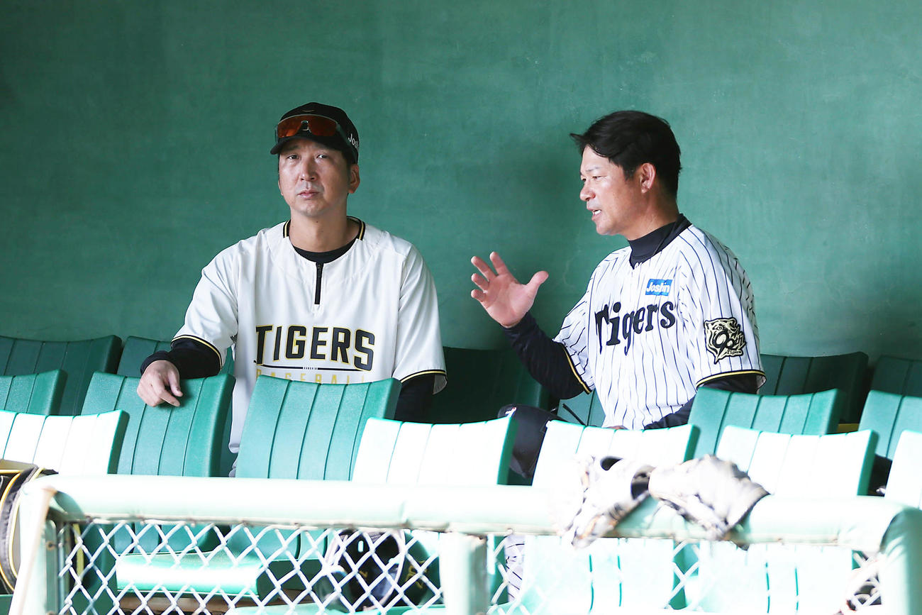 筒井コーチ（右）と言葉を交わす阪神藤川監督（撮影・前田充）