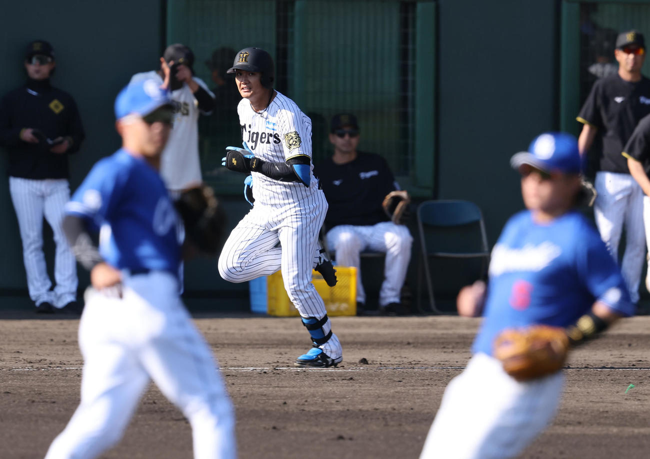 阪神対中日　2回裏阪神1死、西純は野手転向後、初安打を放つ（撮影・上田博志）