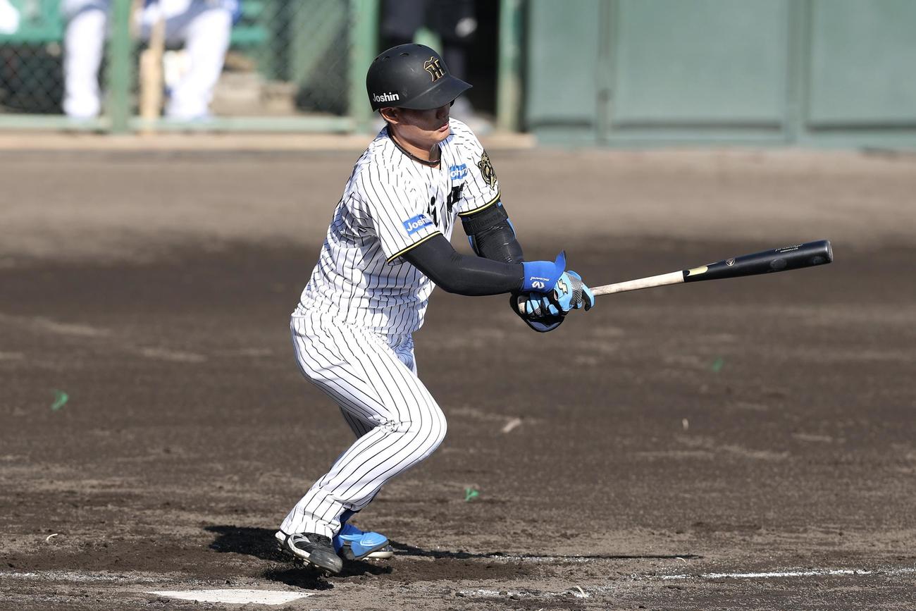 阪神対中日　中日との練習試合で中前打を放つ阪神西純（撮影・前田充）