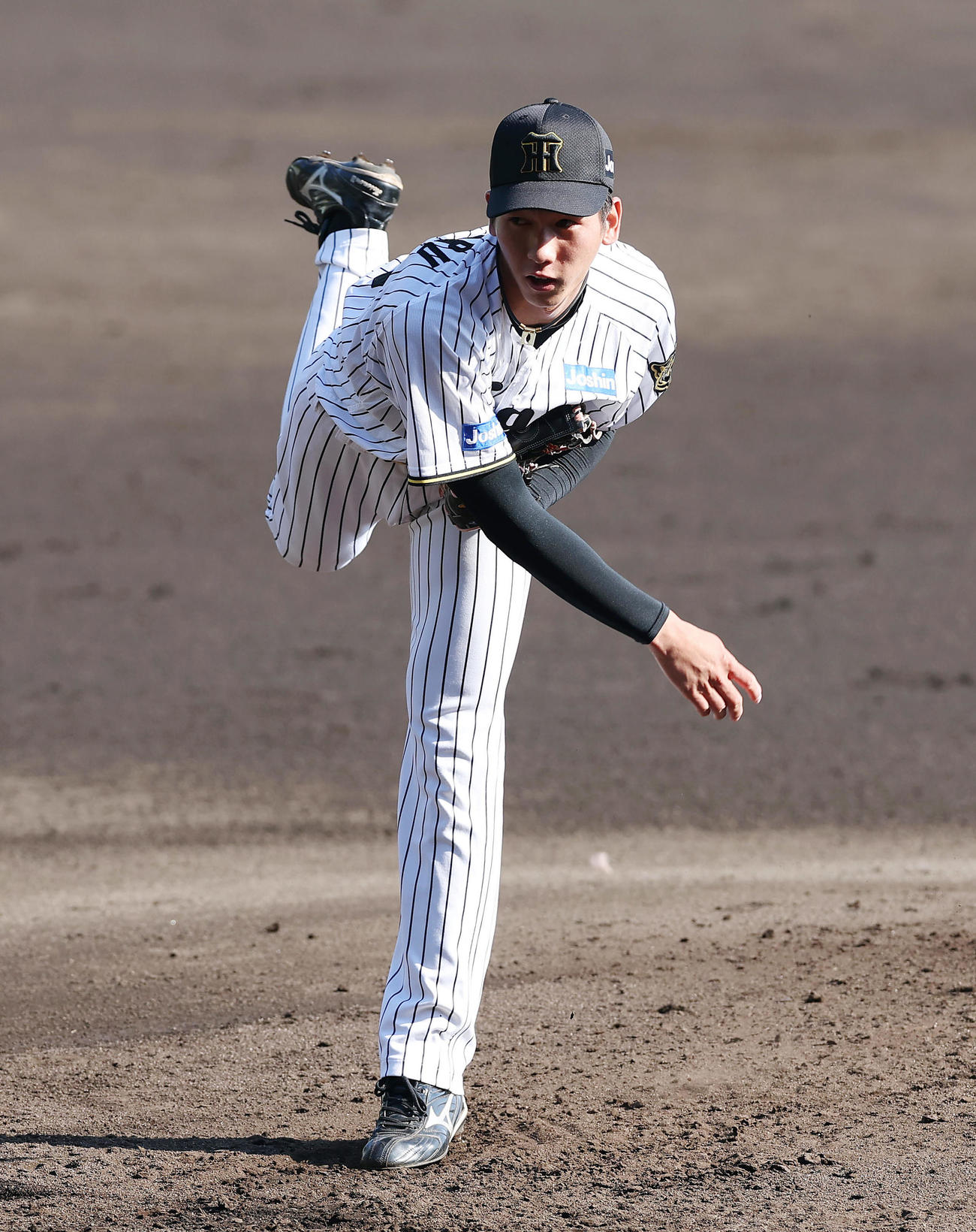 中日との練習試合で力投する阪神今朝丸（撮影・前田充）