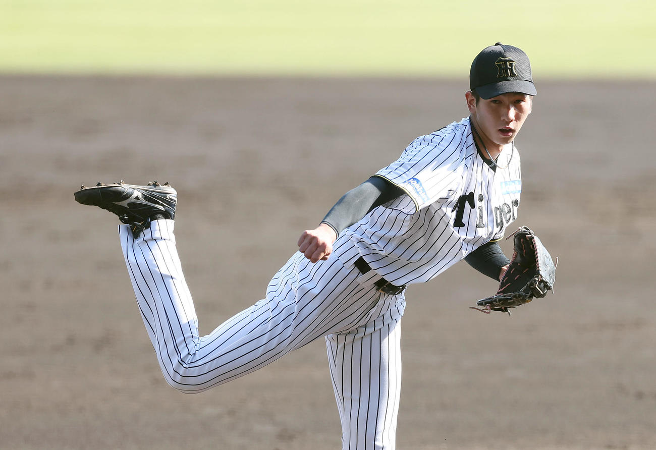 中日との練習試合で力投する阪神今朝丸（撮影・前田充）