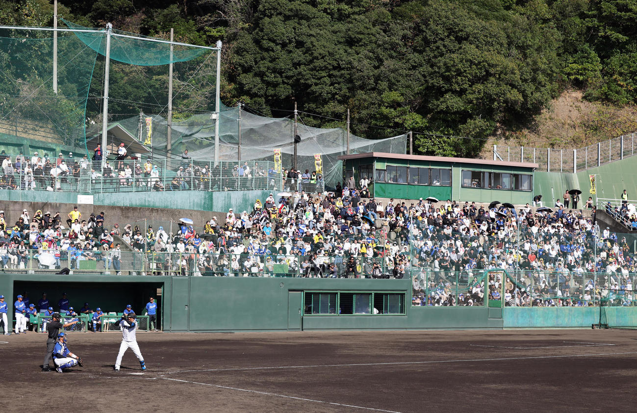 多くの観客が観戦に訪れた安芸市営球場で、打席に入る阪神西純（撮影・前田充）