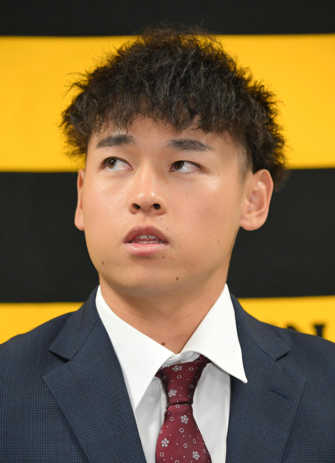 契約更改を終え会見する阪神早川（撮影・石井愛子）