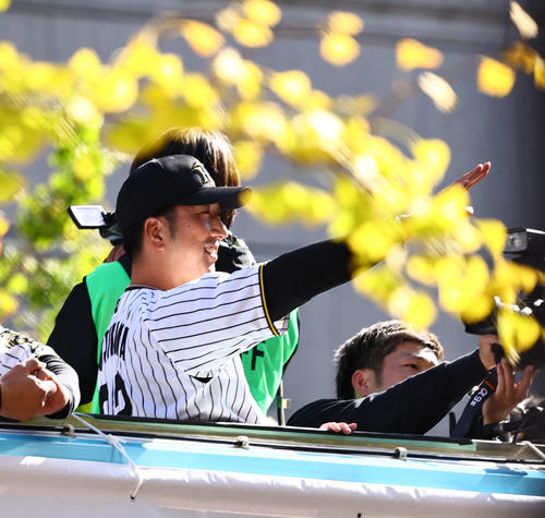 ファンに手を振る藤川監督(撮影・上田博志)