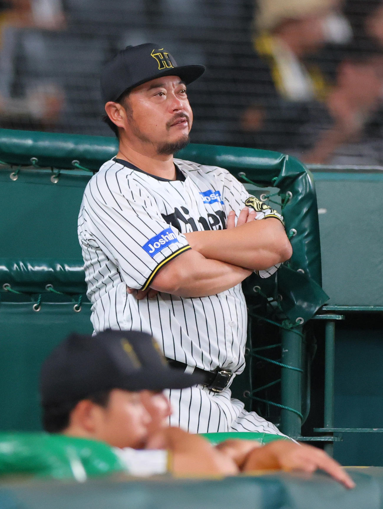 阪神小谷野打撃チーフコーチ（2025年撮影）