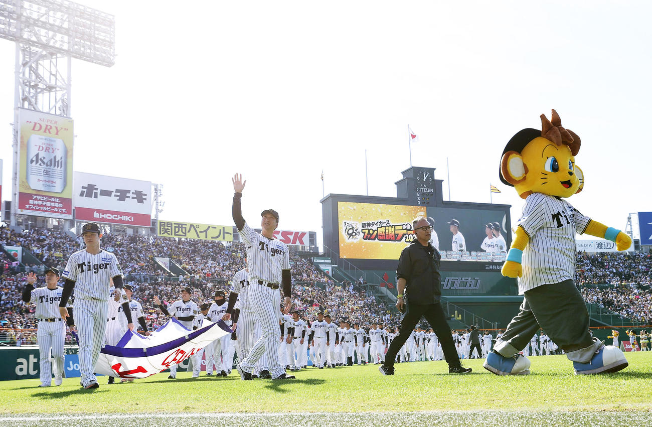 ファン感謝デーで場内一周する阪神藤川球児監督と選手ら（撮影・上山淳一）