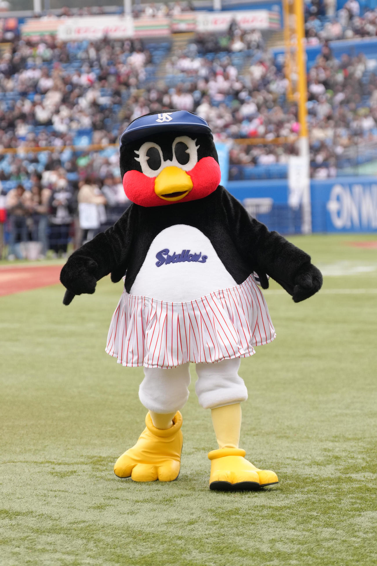 ヤクルトファン感謝DAY2025に臨むつばみ（撮影・足立雅史）